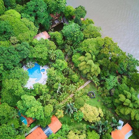 Evergreen Lodge Tortuguero Kültér fotó