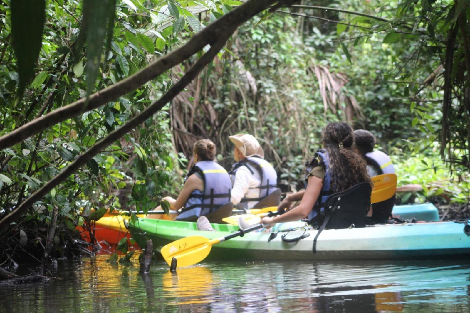 Evergreen Lodge Tortuguero Kültér fotó