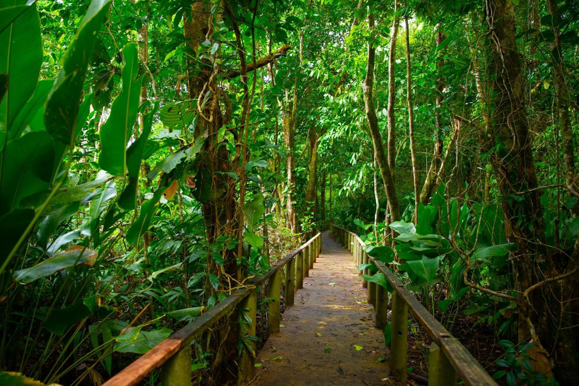 Evergreen Lodge Tortuguero Kültér fotó