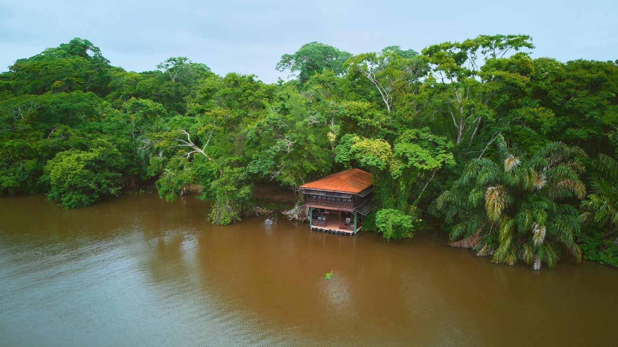 Evergreen Lodge Tortuguero Kültér fotó