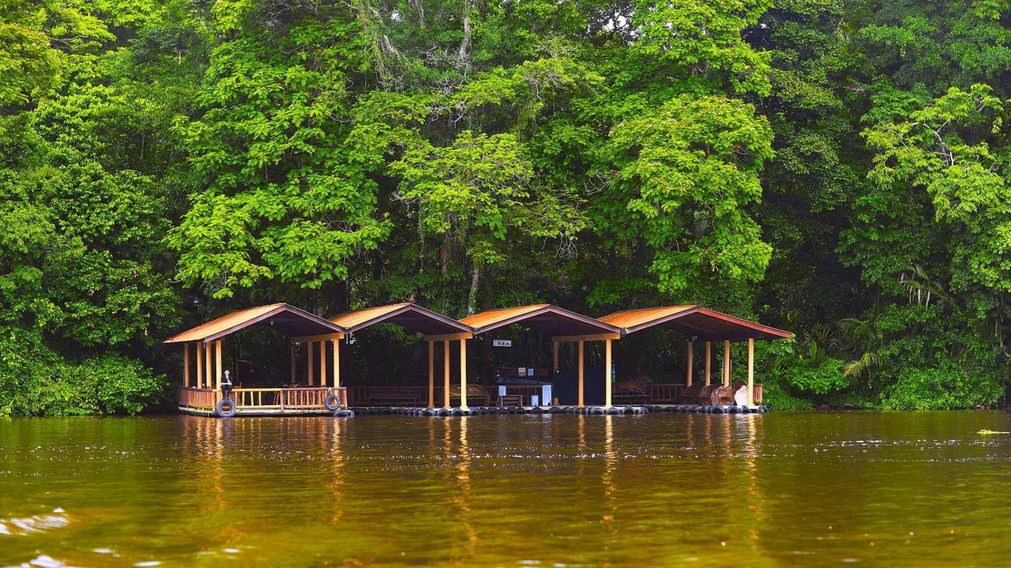 Evergreen Lodge Tortuguero Kültér fotó